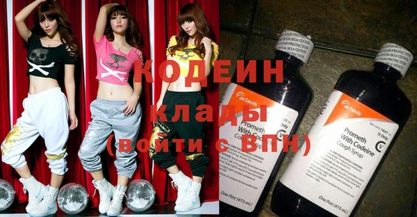 дурь Арсеньев