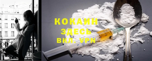 дурь Арсеньев
